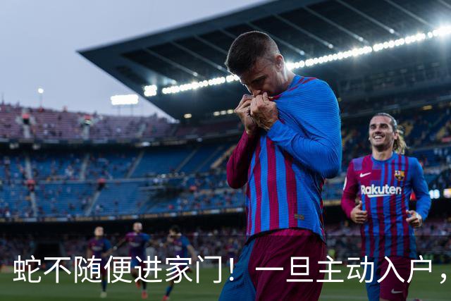 蛇不随便进家门！一旦主动入户，其实是在传递两个重要信号